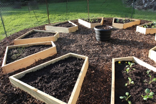 Garden Ideas Vegetable 5 creative vegetable garden ideas Garden Ideas Vegetable 5 creative vegetable garden ideas