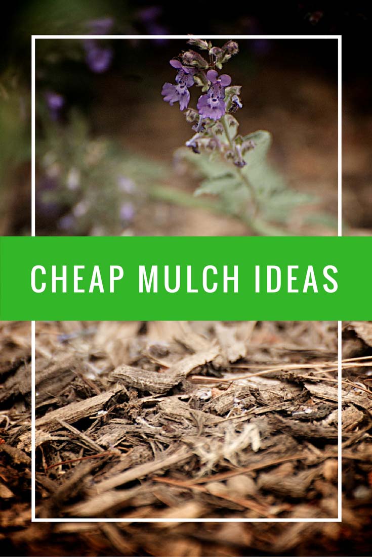 24 cheap mulch ideas to save money 24 cheap mulch ideas to save money