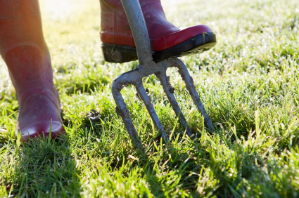 Garden Aerator Garden Aerator