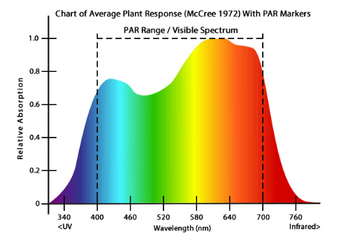 Metal Halide Grow Lights Explained and Reviewed wiring hps mh 