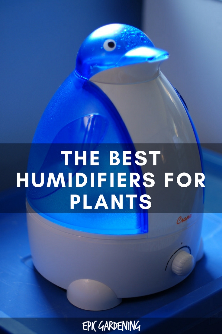 The Best Plant Humidifiers For Your Indoor Garden