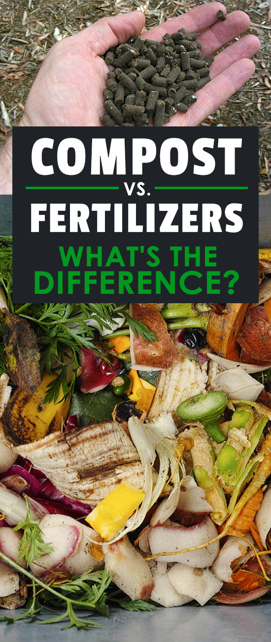 Compost vs. Fertilizers What’s the Difference?