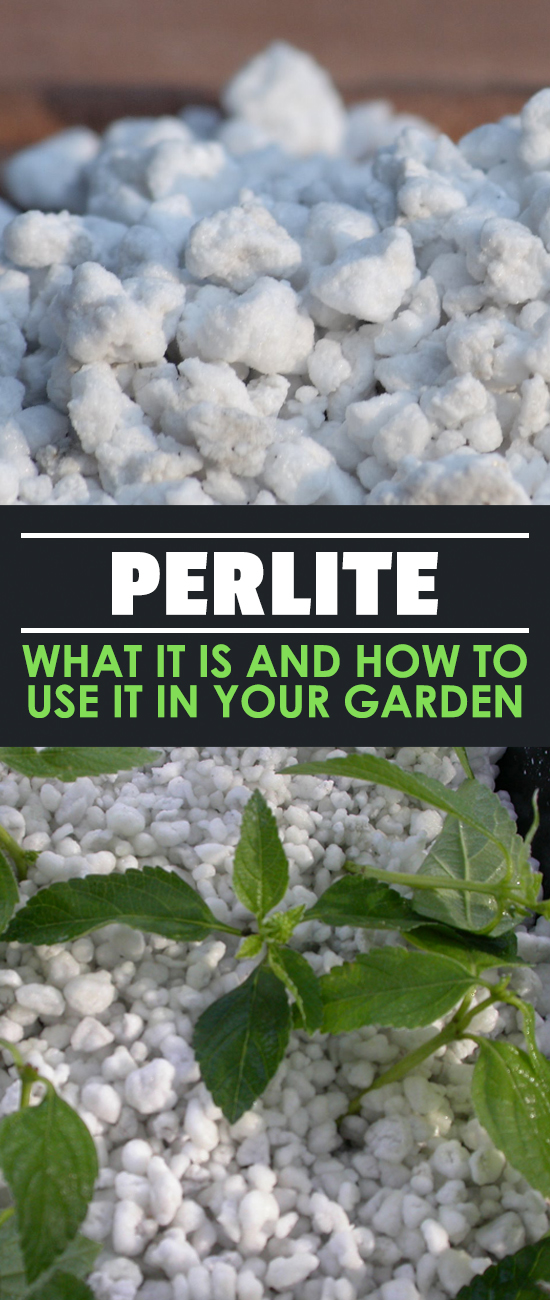 Perlite What It Is And How To Use It In Your Garden